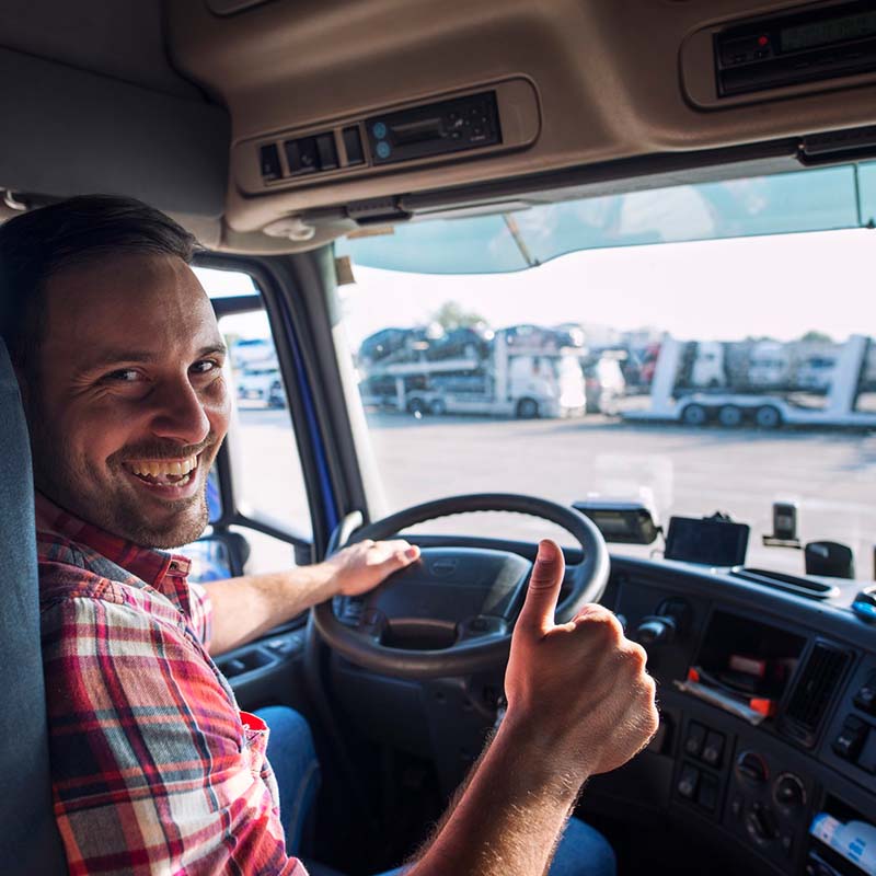 envios 1 pedido animal