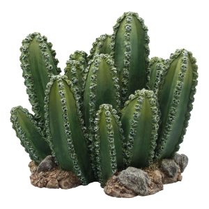 Conjunto de Cactus Decorativos para Terrarios – Ambiente Natural