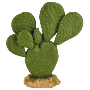 Cactus de Decoración para Terrarios – Ambiente Natural