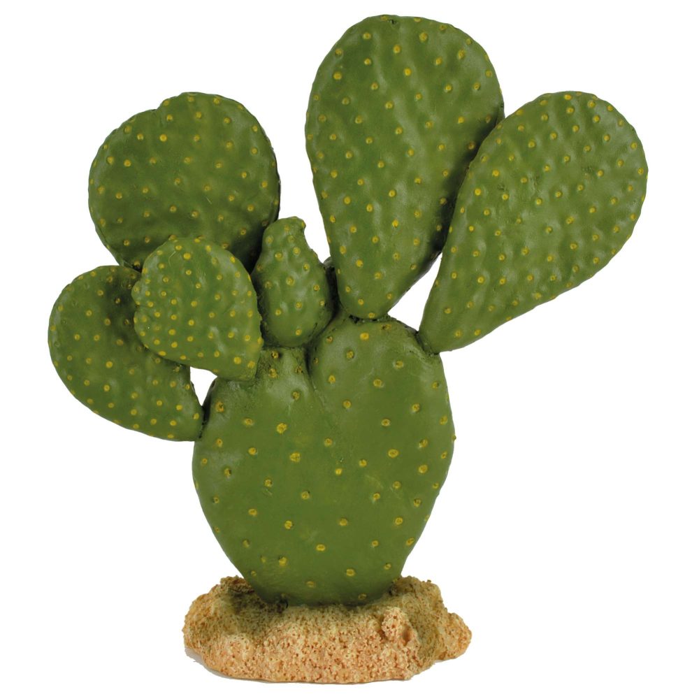 Cactus de Decoración para Terrarios – Ambiente Natural