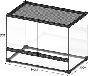 Terrario de Cristal – (50×30×35 cm)
