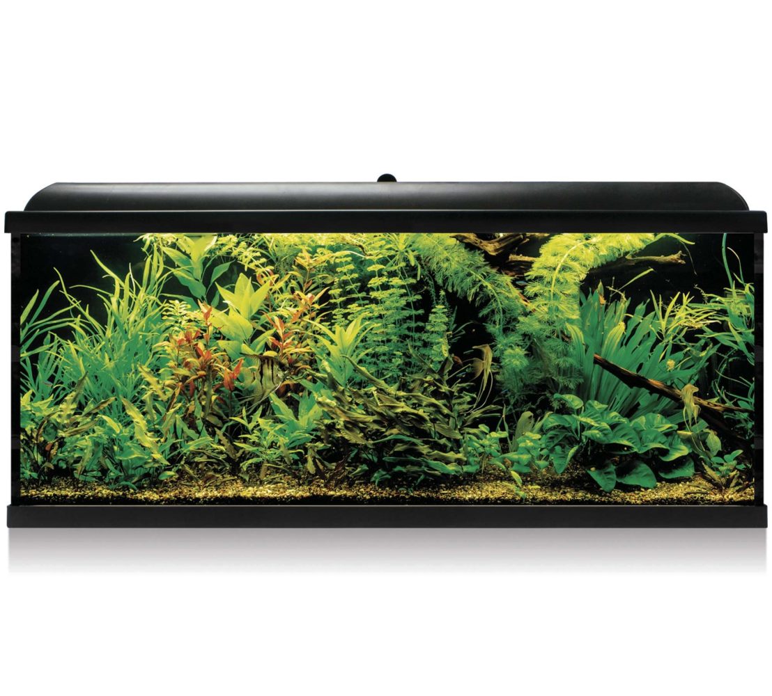 Kit AQUA LED PRO 240 Negro con filtro exterior (240 L)