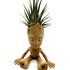 Maceta Groot con Planta Aérea – Pack Decorativo